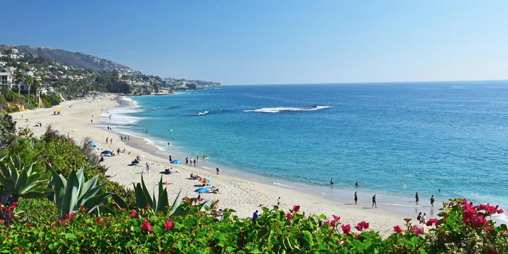 Laguna beach Image
