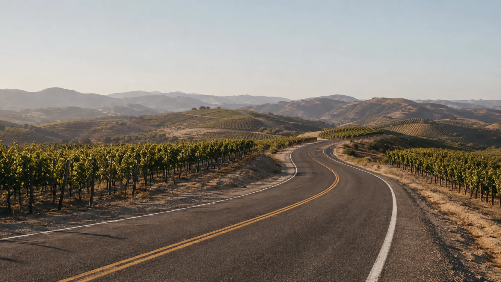 Two-lane road winding through Temecula Valley vineyards on the way to a wine tasting
